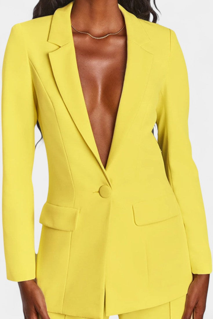 Agnesina Blazer and High-Waisted Pants Ensemble